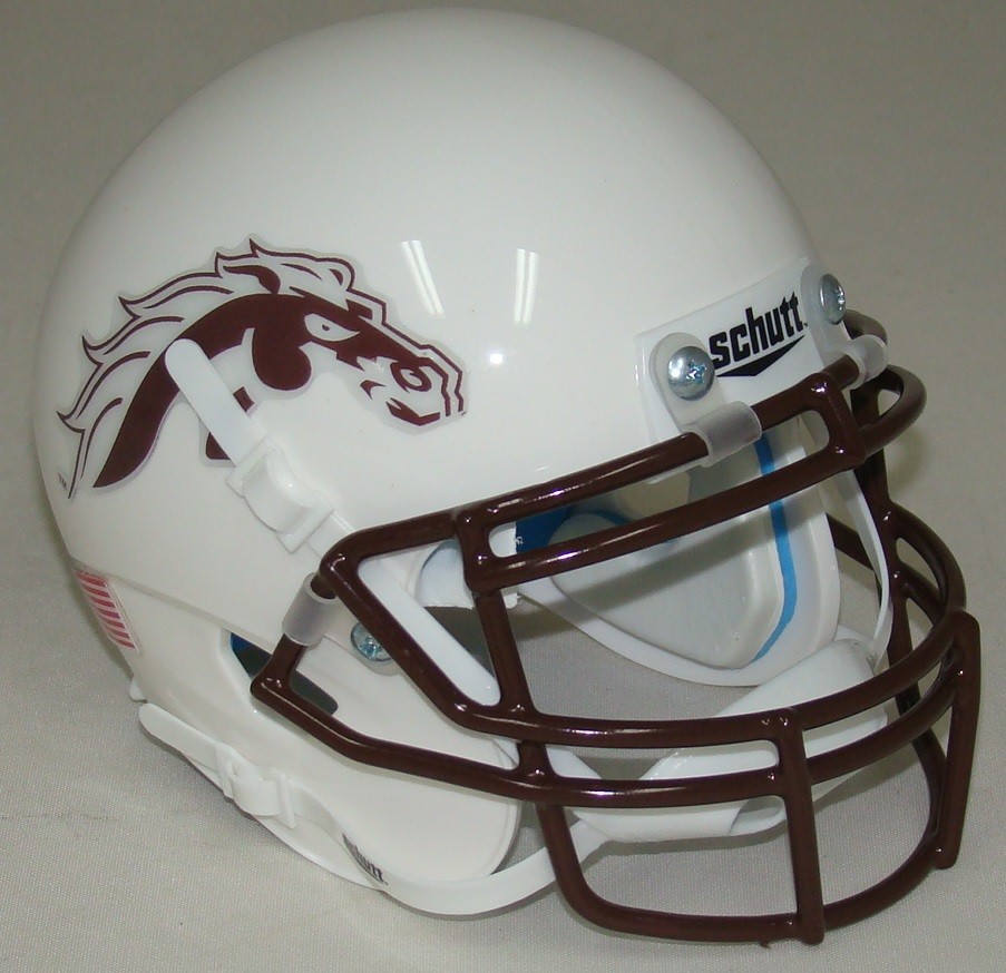 NEW WESTERN MICHIGAN BRONCOS ALTERNATE WHITE NCAA SCHUTT ...